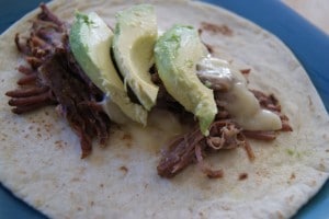 Shredded brisket on four tortilla, topped with cheese ad three slices of avocado.