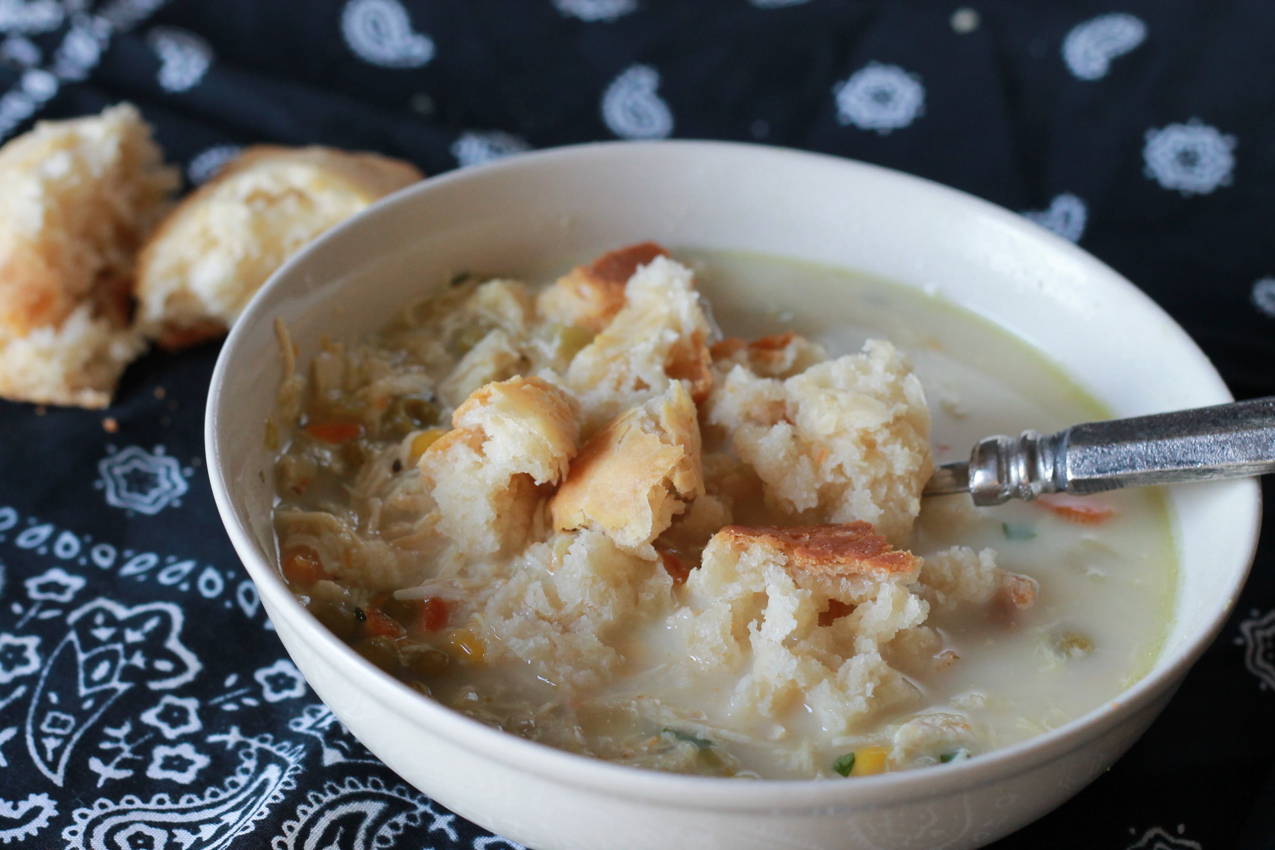 Chicken Pot Pie Soup in the Philips Soup Maker