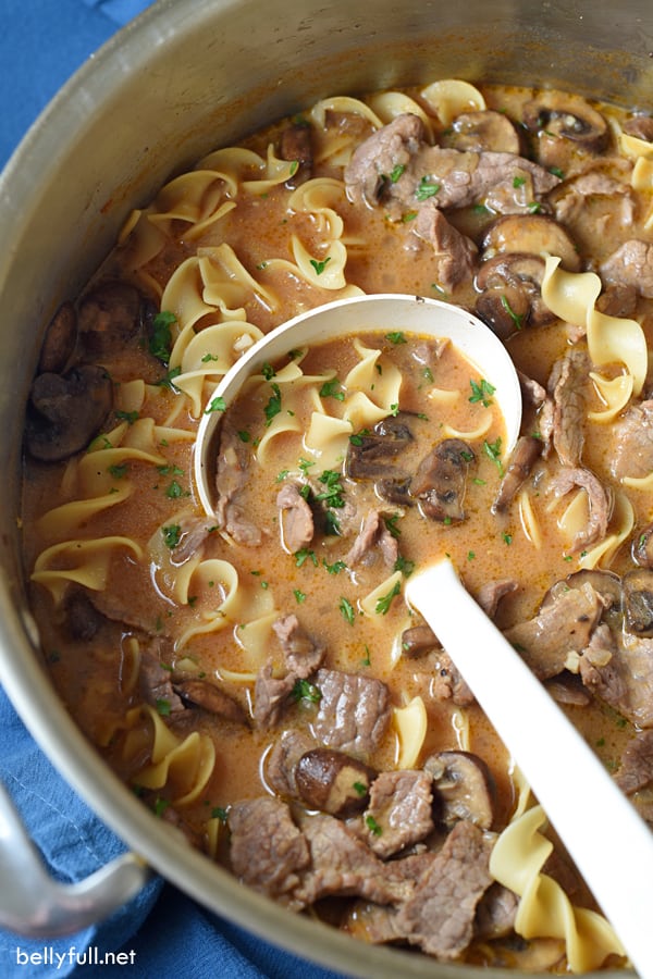 Beef Stroganoff Soup